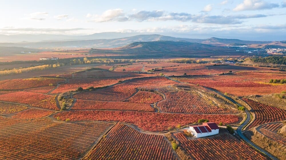 End of season in La Rioja brings vibrant colors during a locally-host tour of Spain's most famous wine region.